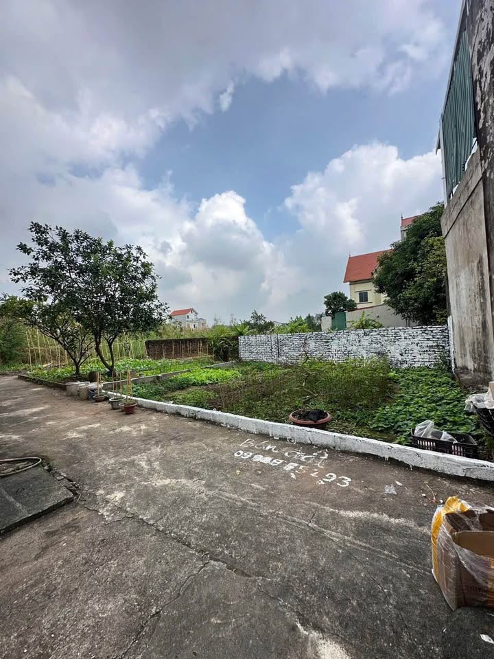 Đất Xâm Xuyên, Hồng Vân 48,3m² - Giá tốt chính chủ, không thể bỏ lỡ!