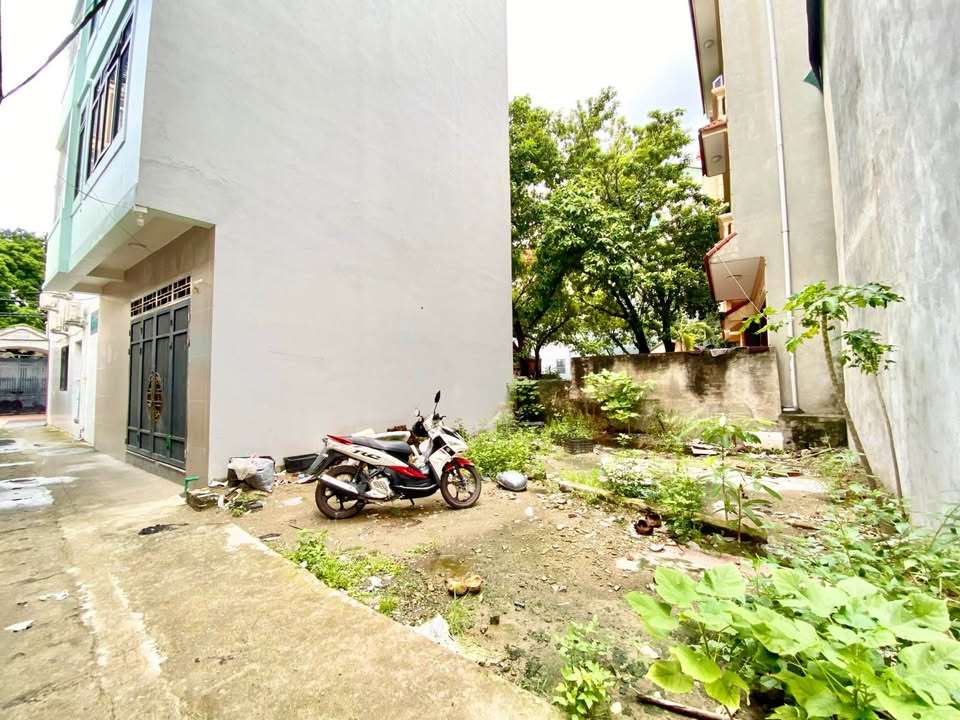 Nhà phố Tu Hoàng, Nam Từ Liêm 52m² giá 5 tỷ - Ô tô đỗ cổng, sổ đỏ chính chủ!