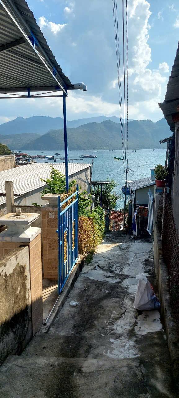 Đất nền nghỉ dưỡng Trí Nguyên 253,9m² giá 2.5 tỷ - Tiềm năng đầu tư lớn!