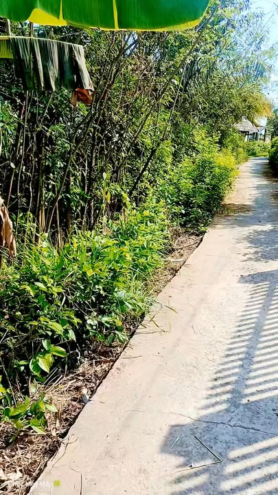 Đất nền An Đức, Ba Tri 500m² giá 750 triệu - Mặt tiền đường xe hơi