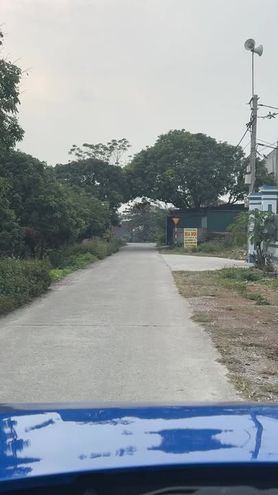 Bán đất đấu giá Nhân Khang 115m² - Gần sông Châu Giang