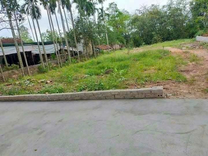 Đất nền chính chủ xã Bình Nghĩa 249m² - Gần trạm y tế, trường học!