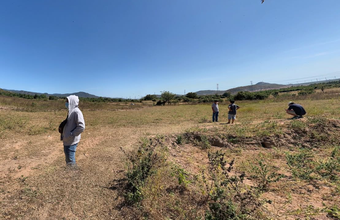 Đất Farm 13.000m² xã Phong Phú, Tuy Phong, Bình Thuận – Giá chỉ 130 triệu, đầu tư sinh lời!