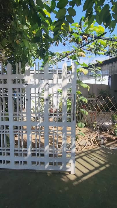 Nhà vườn mặt tiền ĐT 826C, xã Phước Lại, Cần Giuộc, 252m² giá 8.5 tỷ - Không thể bỏ qua!