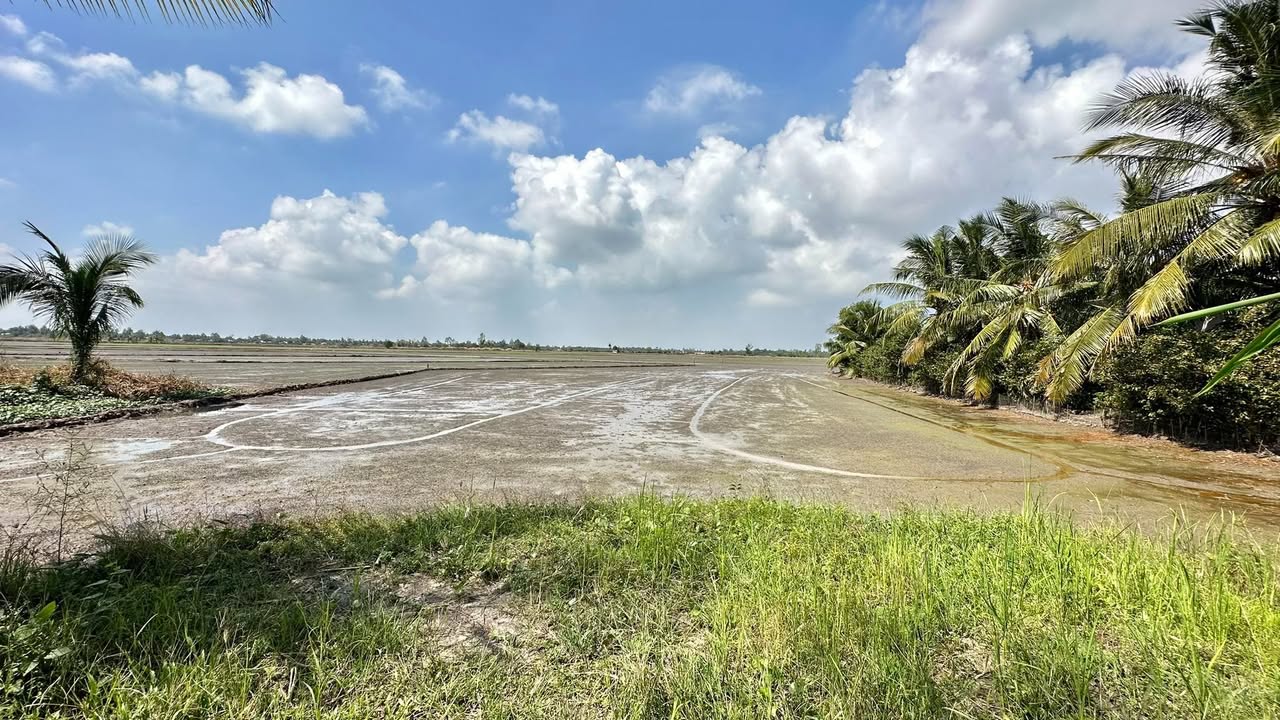 Đất nền mặt tiền Cù Là - Giục Tượng 3244m² giá 1.45 tỷ - Cơ hội đầu tư hấp dẫn!