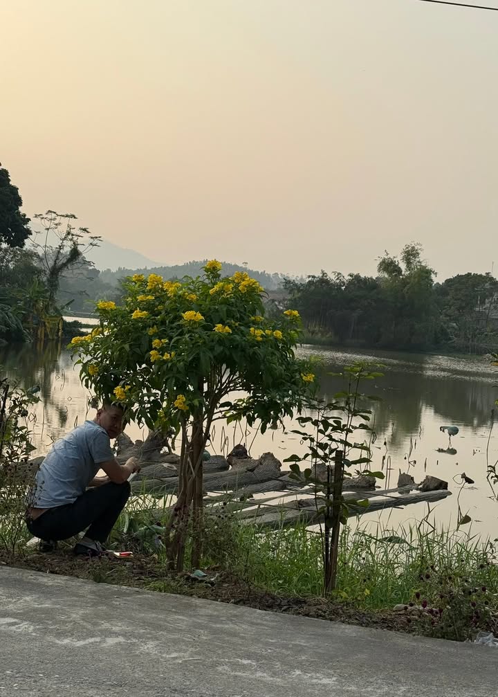 Đất thổ cư Thị trấn Thanh Thủy 135m² giá 1 tỷ - View hồ điều hòa tuyệt đẹp!