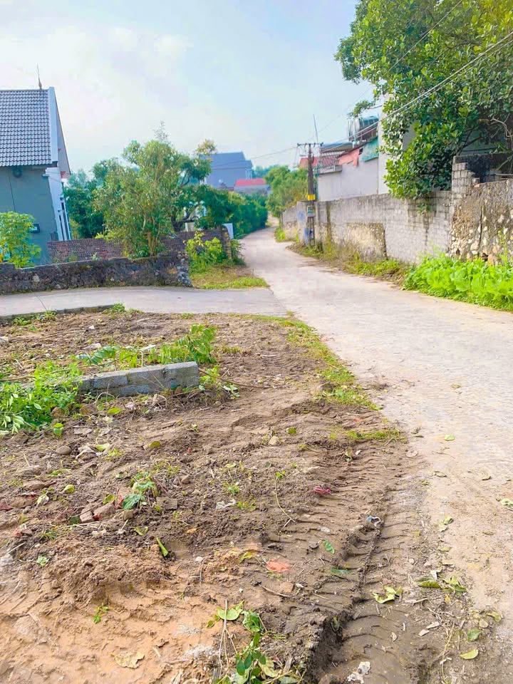 Đất nền Phương Sơn Lục Nam 110m² giá thỏa thuận - Pháp lý rõ ràng, khu dân cư cao cấp!