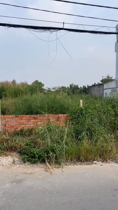 Bán đất thổ cư 1600m² mặt tiền Nguyễn Văn Ràng - Giá 51.2 tỷ, thương lượng ngay!