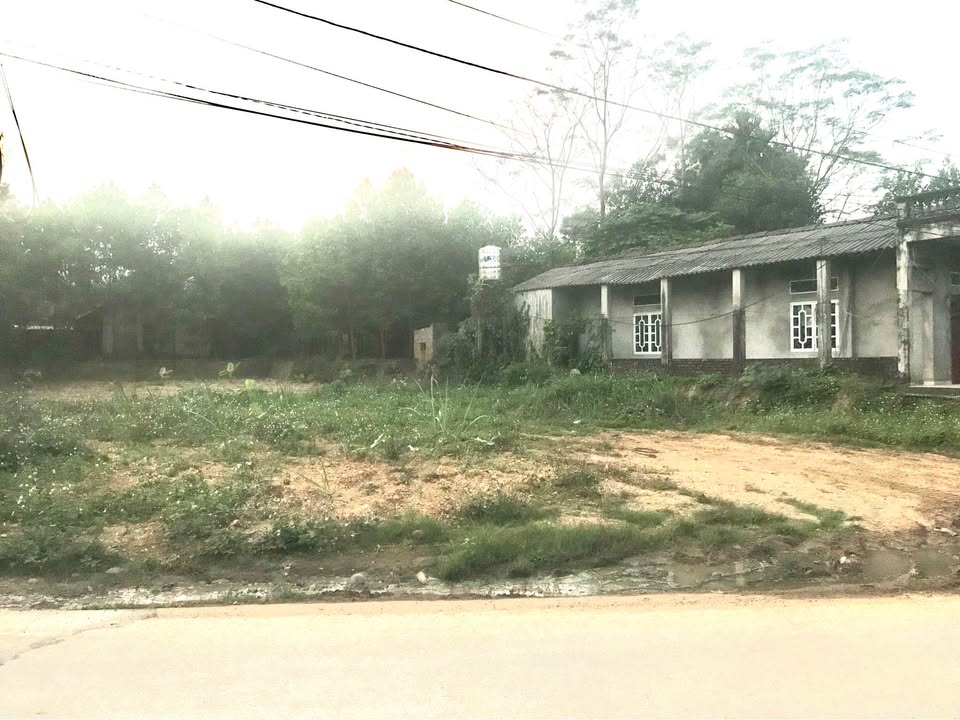 Đất nền Hương Lung - Cẩm Khê 100m² giá 1 tỷ - Đầu tư sinh lời ngay!