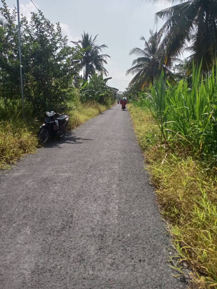 Đất nền Mỹ Thạnh Trung 170m² giá chỉ 395 triệu - Sổ hồng riêng từng nền!