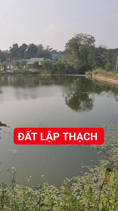 Đất Lập Thạch 250m² mặt tiền 20m - View hồ tuyệt đẹp, giá chỉ 800 triệu!
