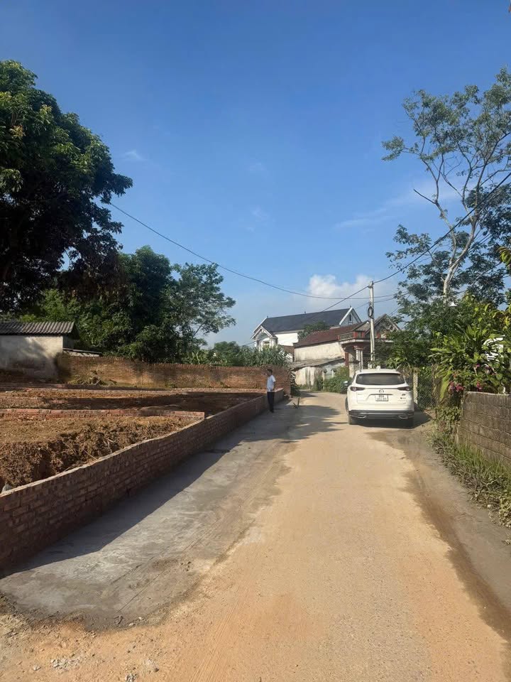 Đất nền Tam Sơn, Cẩm Khê 100m² - Đầu tư sinh lời, gần KCN Sông Lô 2!