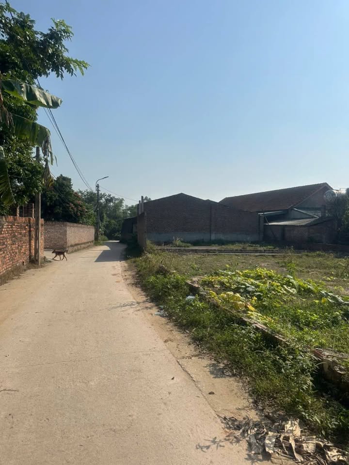 Đất vườn Đạo Tú Tam Dương 294m² giá 1.1 tỷ - Cơ hội đầu tư tuyệt vời!