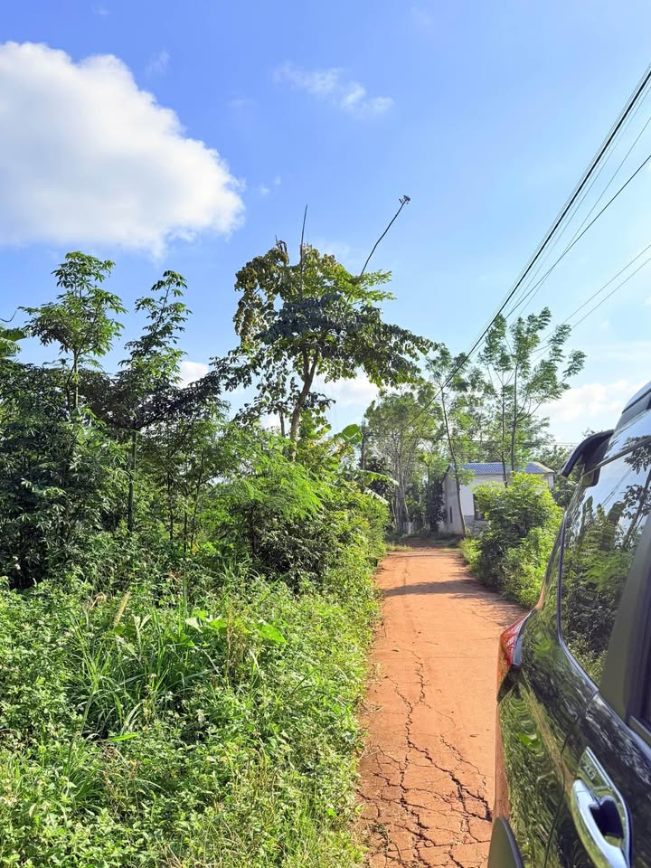 Đất nền Cư Kuin 110m² giá chỉ 288 triệu - Đầu tư sinh lời ngay!