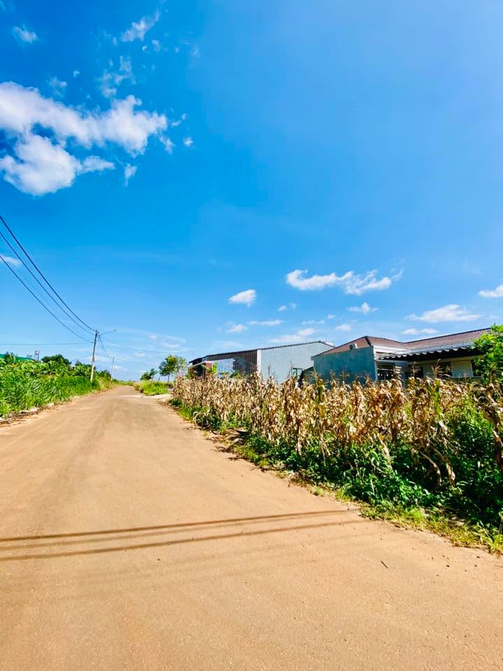 Đất nền Khu đấu giá K8, Quảng Phú, 169m², giá 1.75 tỷ - Cơ hội đầu tư lý tưởng!