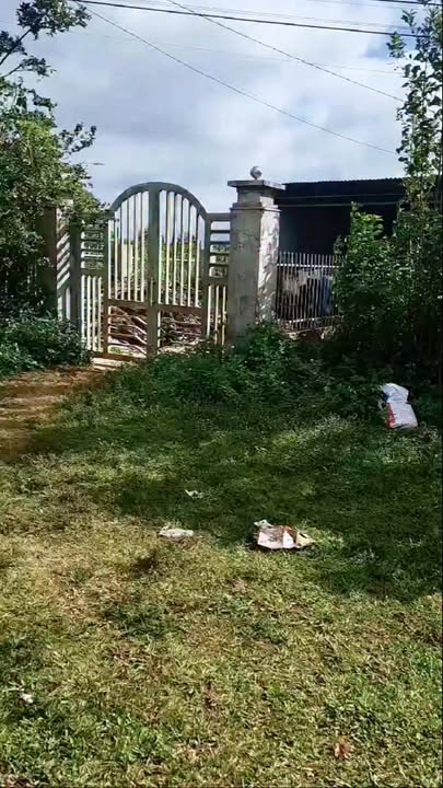 Đất chính chủ xã Bờ Ngong, huyện Chư Sê, 1680m² - Giá cả thỏa thuận hấp dẫn!