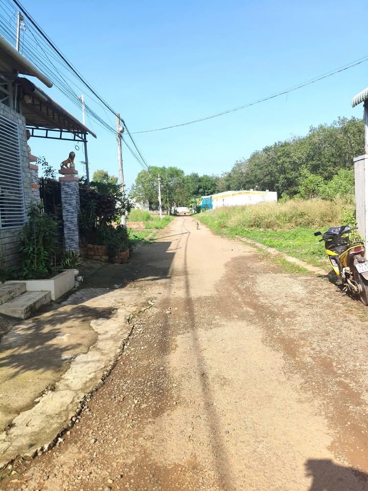 Đất nền Tân Thiện Đồng Xoài 115m² giá chỉ 500 triệu - Cơ hội đầu tư tuyệt vời!
