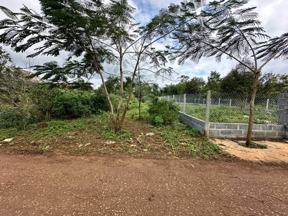 Đất thổ cư 125m² tại Cuôr Đăng, Cư M'gar giá 595 triệu - Sổ đỏ chính chủ, thương lượng tốt!