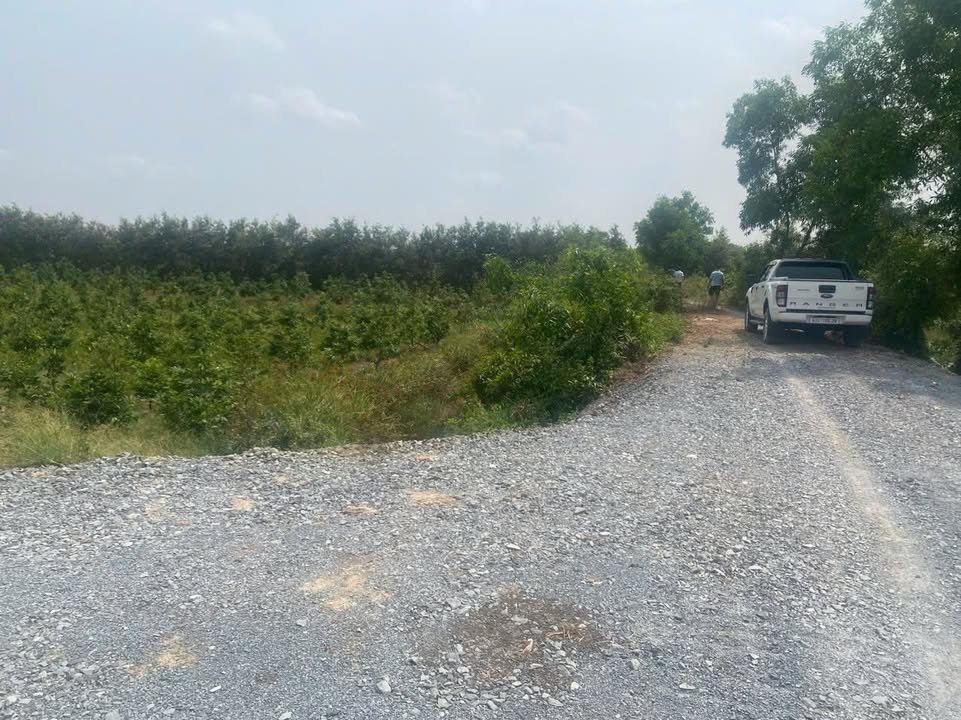 Đất nền 1000m² xã Long Thạnh, Thủ Thừa - Giá chỉ 1.3 tỷ, thương lượng ngay!