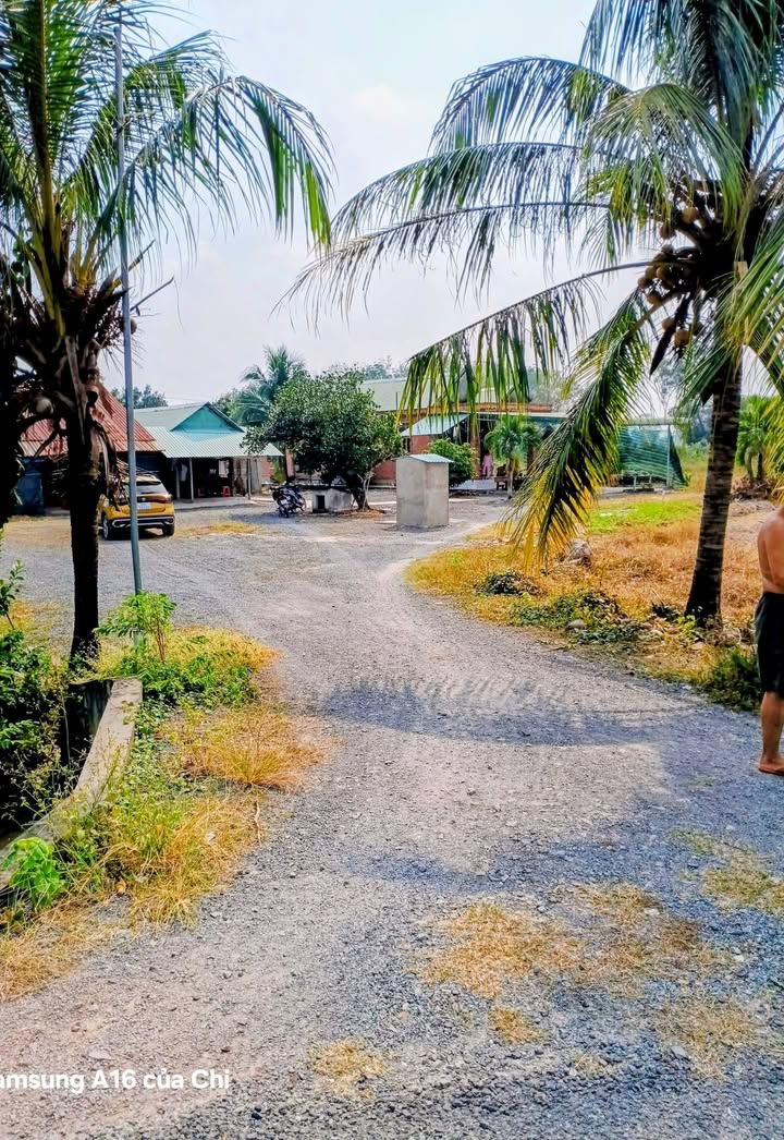 Đất vườn 2120m² tại Lộc Giang, Đức Hòa - Giá 5 tỷ, cơ hội đầu tư tuyệt vời!