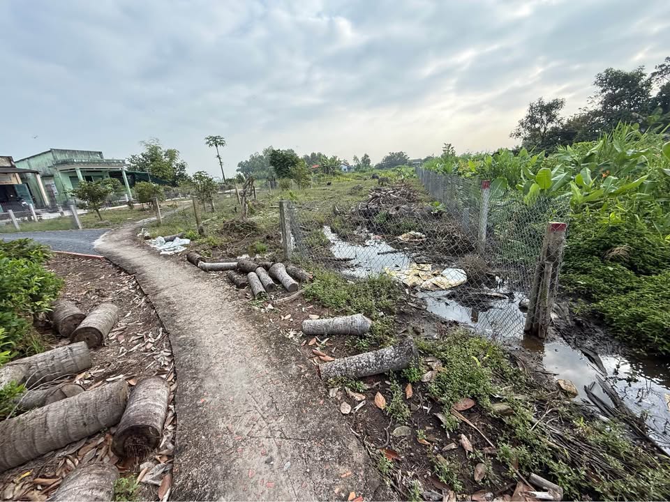 Đất thổ cư 600m² tại Ấp Nhà Trường, Cần Đước - Giá 1.2 tỷ, phù hợp làm nhà vườn!