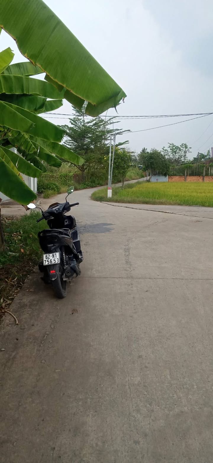 Đất nền Nhựt Chánh 225m² giá chỉ 1.55 tỷ - Cơ hội đầu tư hấp dẫn!