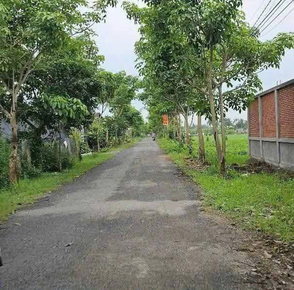 Đất nền mặt tiền đường Lê Thị Trâm, Tân An, Long An 182,3m² giá 1,1 tỷ - Đầu tư tuyệt vời!