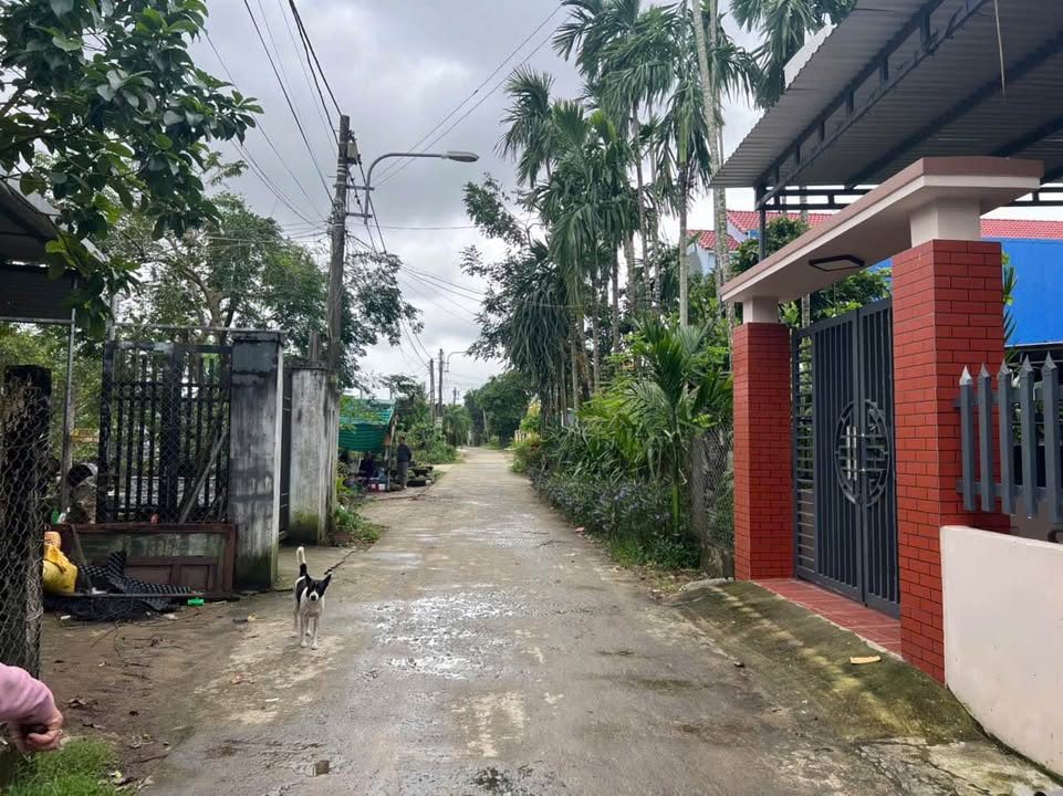 Đất nền phường Nghĩa Lộ 99.5m² giá 1 tỷ - Hướng Tây, thông tứ hướng!