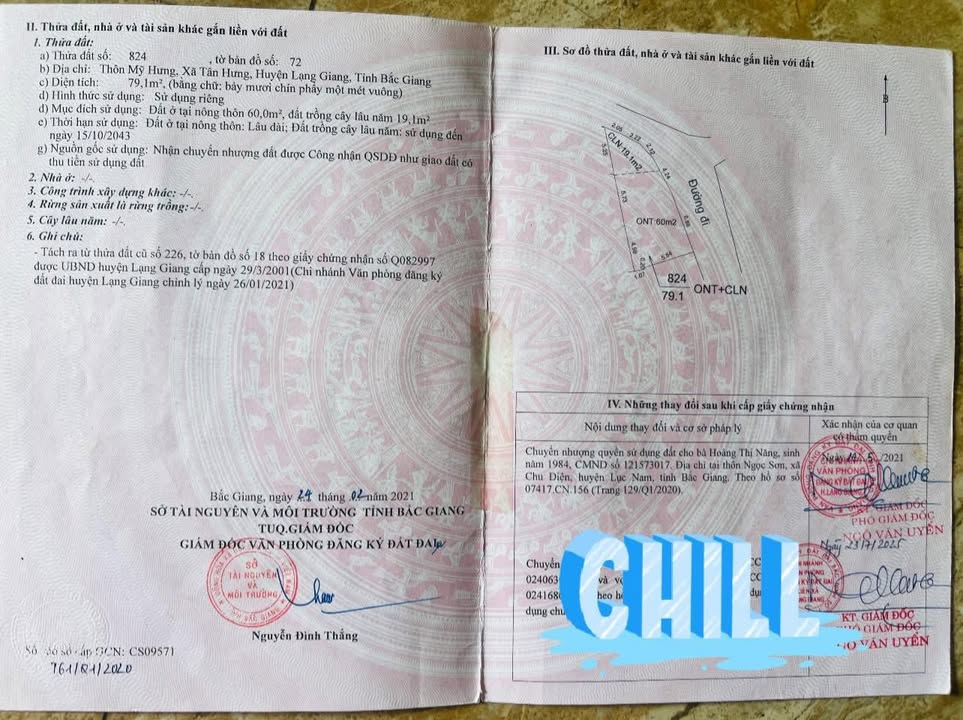 Đất 2 mặt tiền Tân Hưng, Lạng Giang 80m² - Giá cắt lỗ chỉ vài trăm triệu!