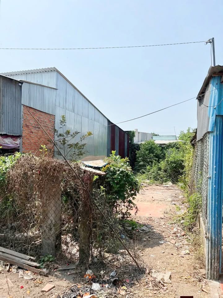 Đất nền 80m² giá 350 triệu tại xã Bình Long, Châu Phú - Cơ hội đầu tư hấp dẫn!