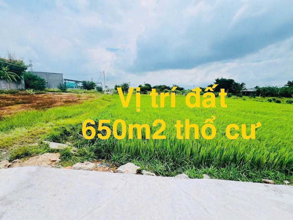 Đất nền Phong Nẫm Phan Thiết 650m² giá 2.2 tỷ - Sổ đỏ chính chủ