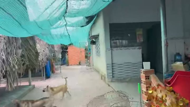 Đất thổ cư 212m² Tân Thạnh, Tân Châu - Giá chỉ 950 triệu - Cơ hội đầu tư tuyệt vời!