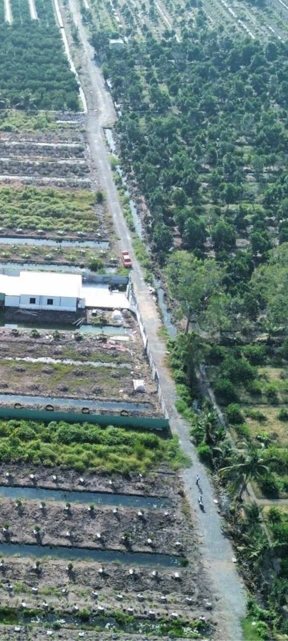 Đất nền Bến Lức 1000m² giá 620 triệu - Pháp lý sổ hồng chính chủ!