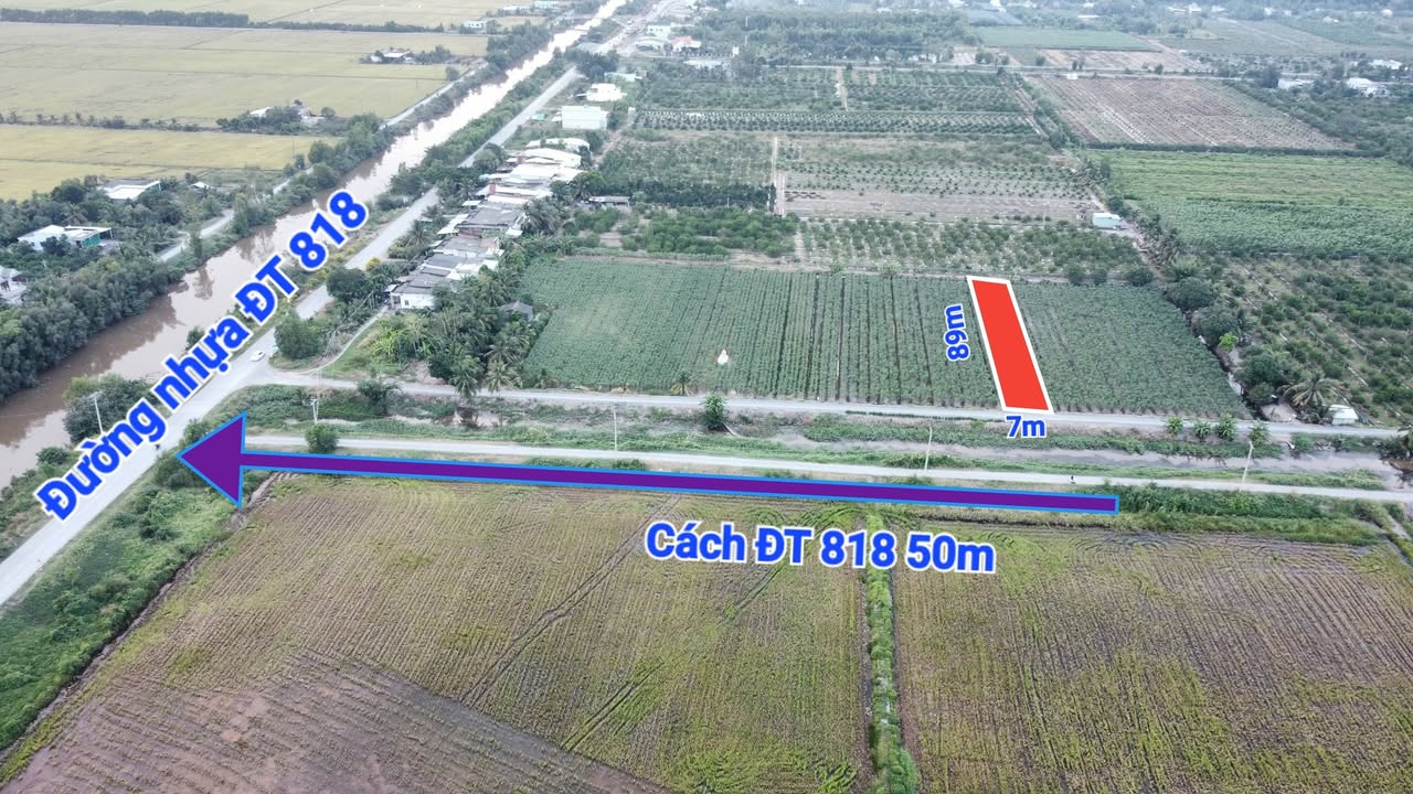 Đất vườn 622m² tại xã Mỹ Thạnh, Thủ Thừa, Long An - Giá 560 triệu, vị trí đắc địa!