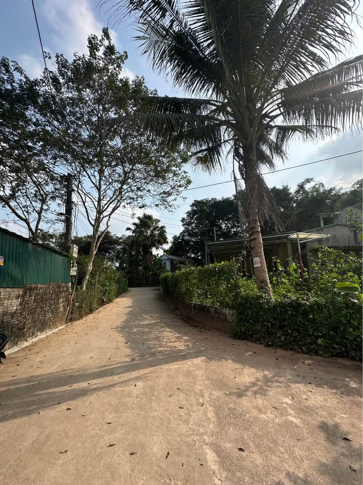 Đất thổ cư 180m² Nông Tiến - Giá tốt, 2 mặt tiền, ô tô vào tận nơi!