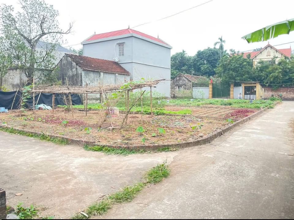 Đất thổ cư Sài Sơn 98,7m² giá 2.961 tỷ - Sổ đỏ chính chủ, đầu tư sinh lời!