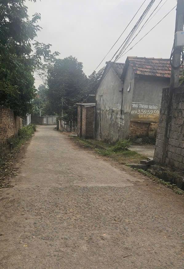 Đất nền dự án F0 Cao Hảo, Hướng Đạo, Tam Dương - Diện tích từ 111m², giá chỉ 300 triệu