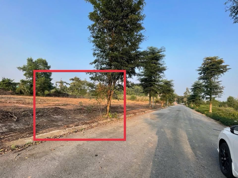 Đất nền Nhà vườn Mậu Lâm Vĩnh Yên 600m² giá chỉ từ 12 tỷ - Cơ hội đầu tư tuyệt vời!