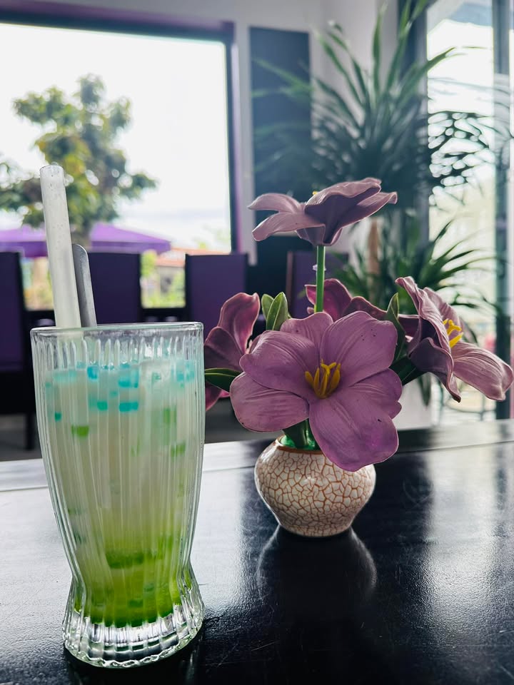 Đất nền Bình Thuận Tây Sơn 1000m² giá 3 tỷ - Đầu tư sinh lời tốt!