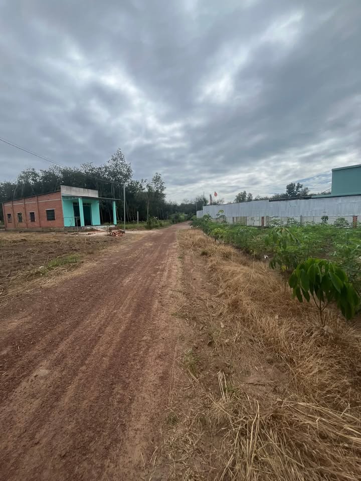 Nhà xưởng 168m² tại An Linh, Phú Giáo giá 460 triệu - Cơ hội đầu tư tốt!