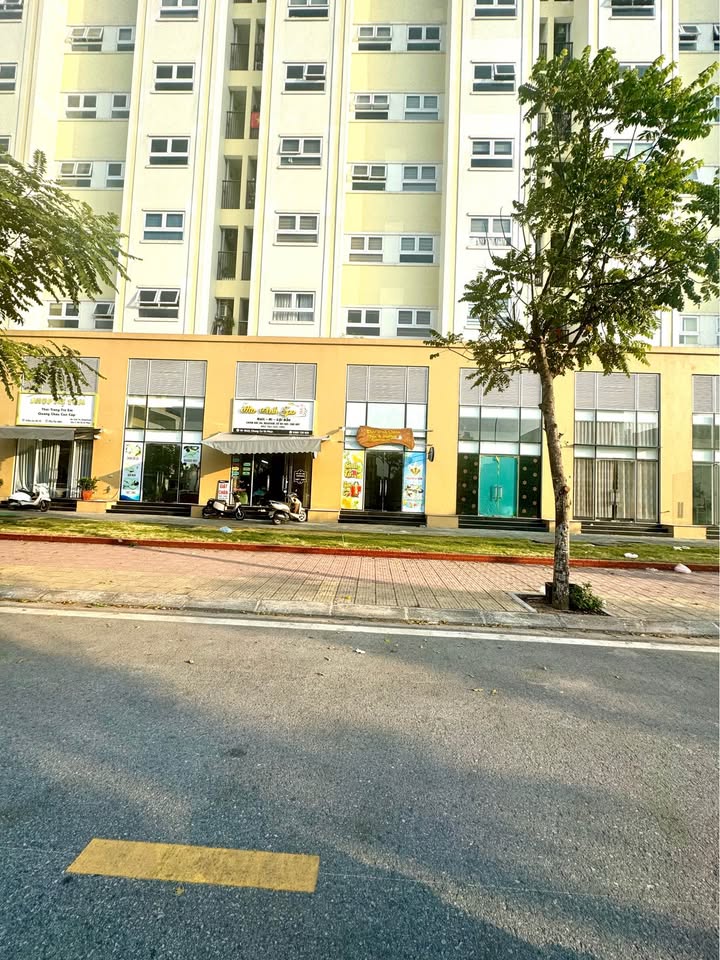 Đất nền Vũ Phúc Thái Bình 76.5m² giá 3.799 tỷ - Đối diện Chung Cư Kinh Doanh