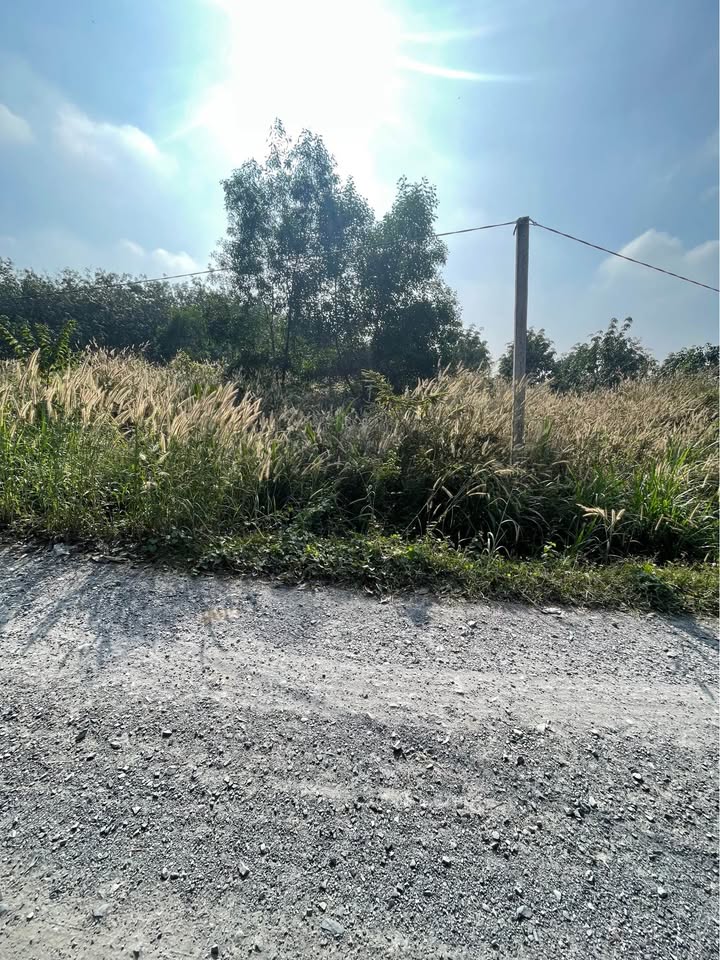 Đất Hiệp Thạnh Gò Dầu 1615.5m² giá 1.8 tỷ - Sổ hồng riêng, thương lượng!