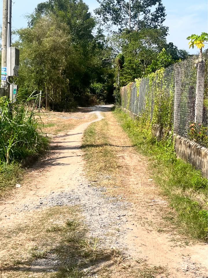 Đất ở KP Trâm Vàng 1, Gò Dầu 946m² giá 1.2 tỷ - Cơ hội đầu tư sinh lời!