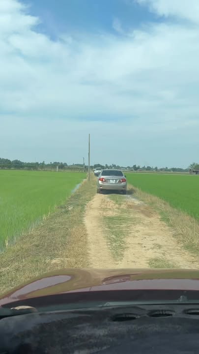 Đất ruộng Tiên Thuận Bến Cầu 3.2 công giá 600 triệu - Cơ hội đầu tư tuyệt vời!