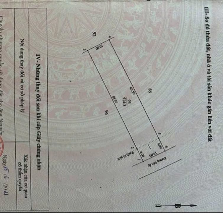 Đất vườn mặt tiền Đan Liên 514m² giá 1.299 tỷ - Đầu tư sinh lời ngay!
