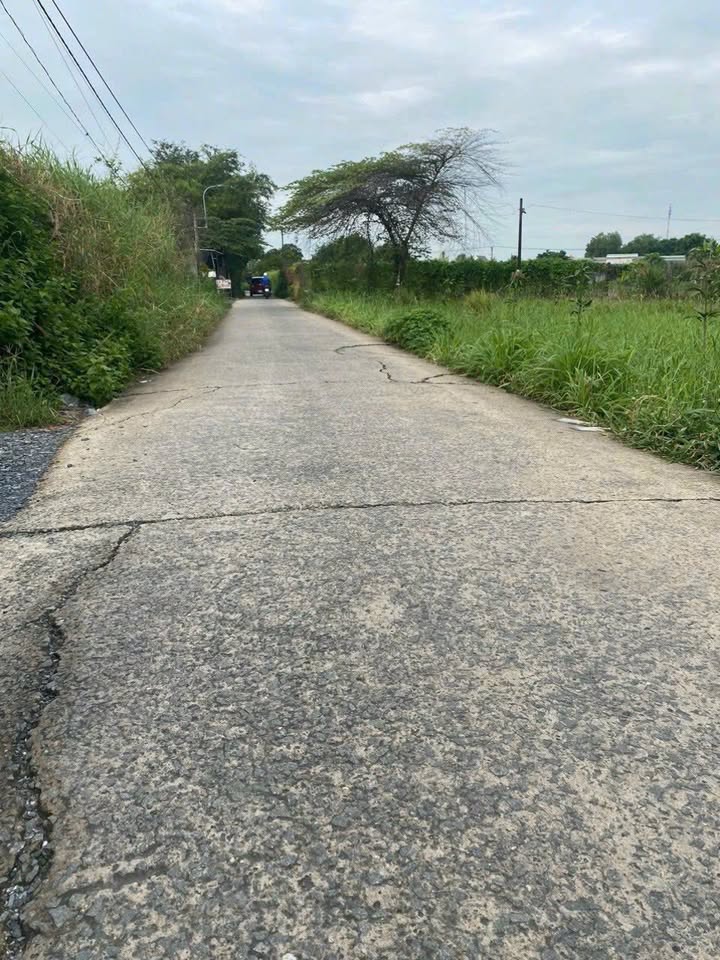 Nhà mặt tiền đường Huỳnh Văn Trí, Bình Chánh, 102m² - Giá 6.4 tỷ, đầu tư sinh lời!