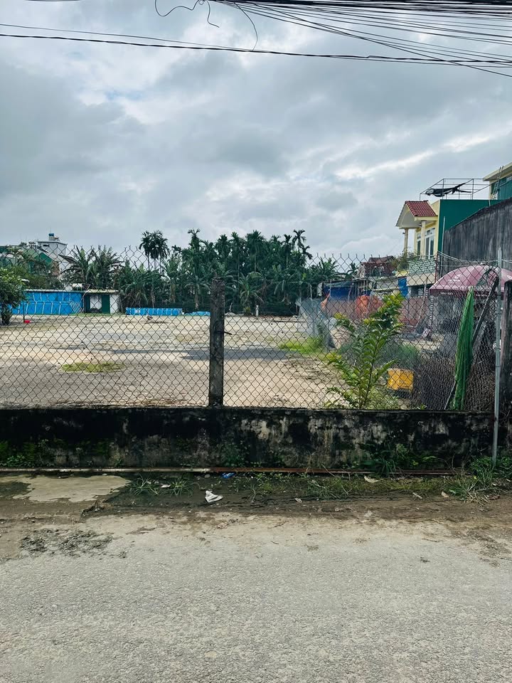 Đất bán hẻm 101 Nguyễn Đình Chiểu 100m² giá 1.69 tỷ - Mặt tiền kinh doanh hấp dẫn!