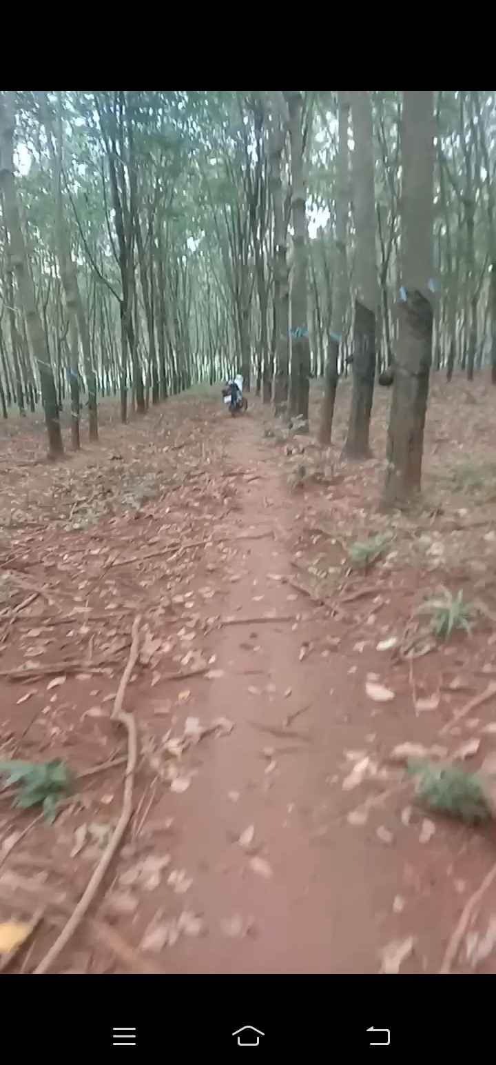 Đất nền 1.4ha Tân Hưng, Đồng Phú - Chỉ 2 tỷ - Đường xe máy vào tận nơi!