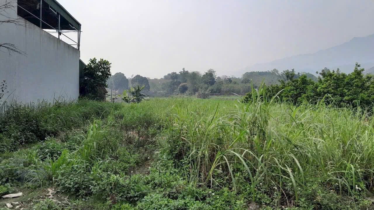 Đất thổ cư 100% tại Khu Quyết Tiến, Cự Đồng, Phú Thọ - Giá chỉ 1.9 tỷ!