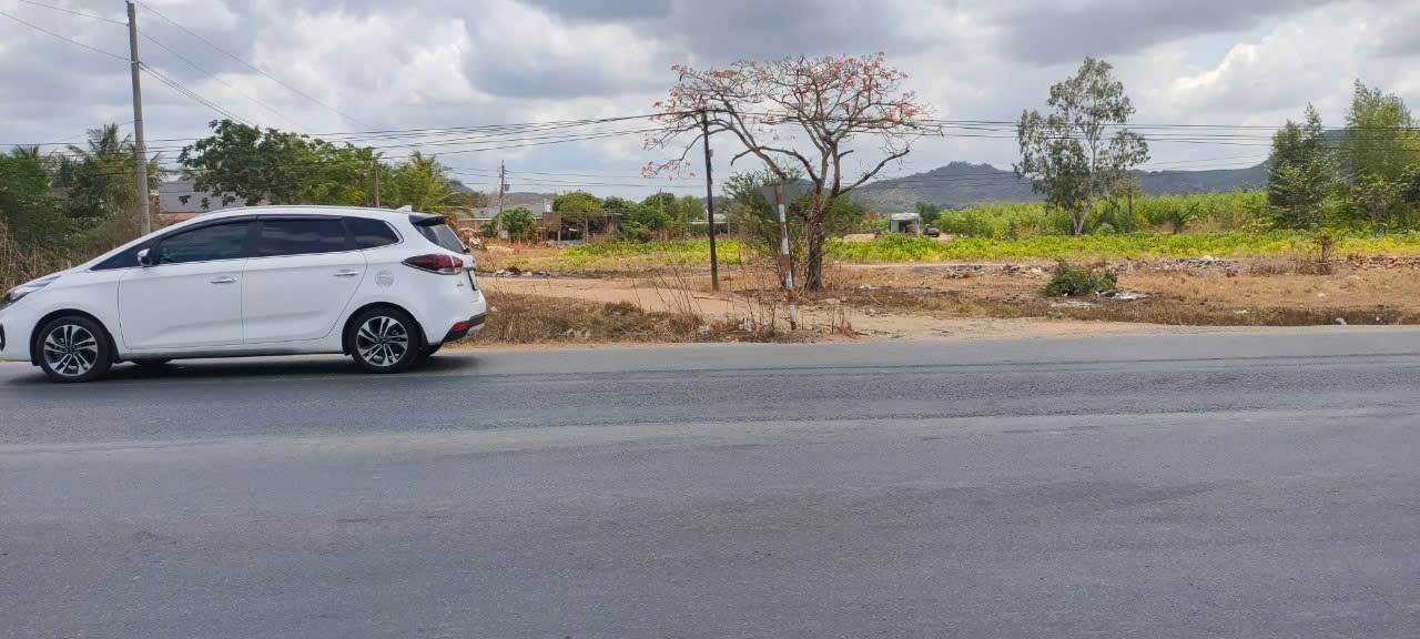 Đất mặt tiền Quốc Lộ 1A Hàm Tân 7402m² - Cơ hội đầu tư kinh doanh hấp dẫn!